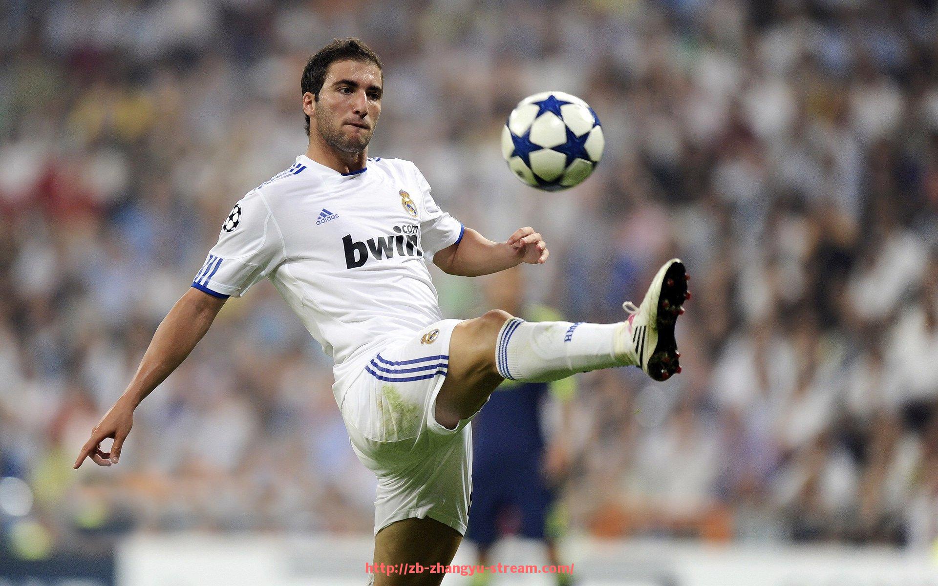 章鱼直播-健身器材的选择标准与考虑因素:如何判断一款健身器材是否适合你的需求?