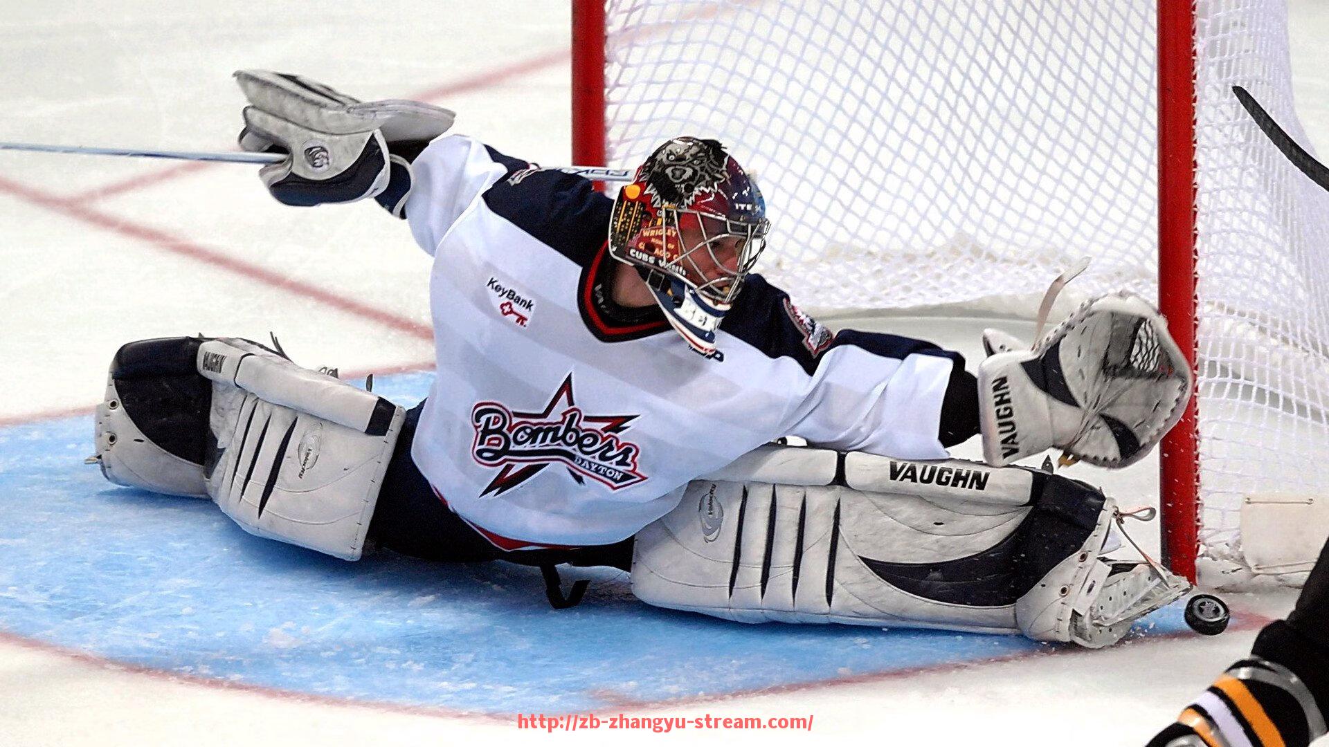 章鱼直播-火箭队高清视频下载渠道推荐与操作指南